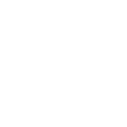 AboutSvg4